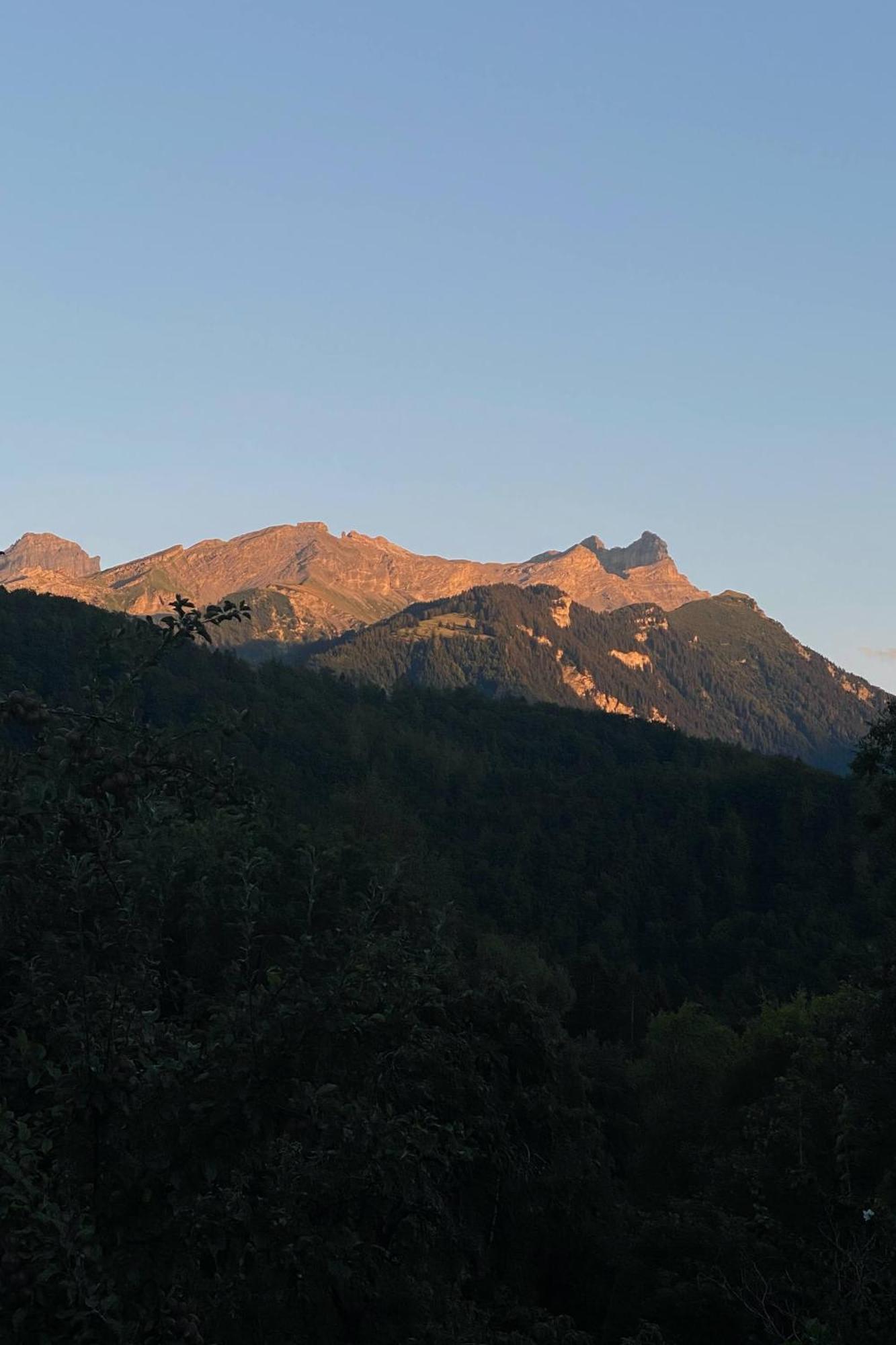 La Petite Grange Villa Villars-sur-Ollon Kültér fotó