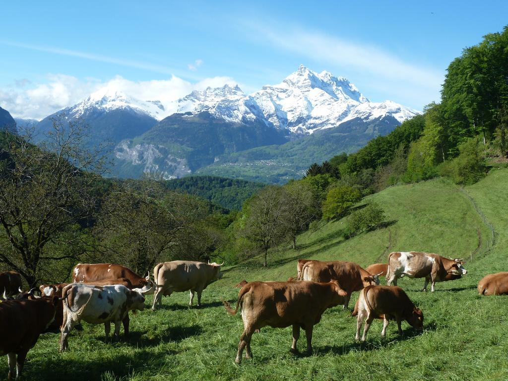 La Petite Grange Villa Villars-sur-Ollon Kültér fotó