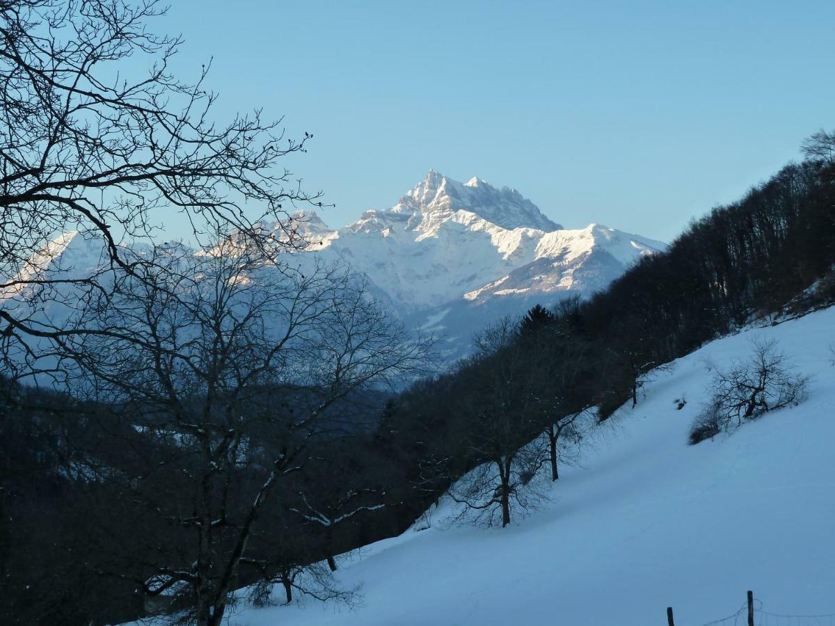 La Petite Grange Villa Villars-sur-Ollon Kültér fotó