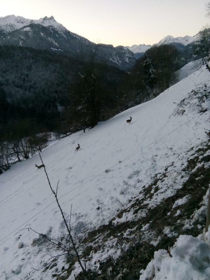 La Petite Grange Villa Villars-sur-Ollon Kültér fotó